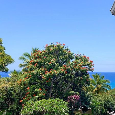 カイルア・コナA Little Alohaアパートメント エクステリア 写真
